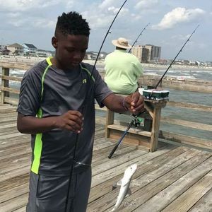 Meet your Posher, Hameed